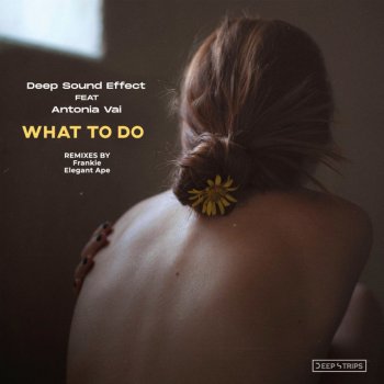 Deep Sound Effect feat. Antonia Vai & Elegant Ape What To Do - Elegant Ape Remix