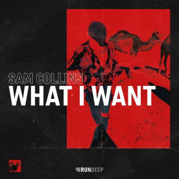 Sam Collins What I Want (Extended Mix)