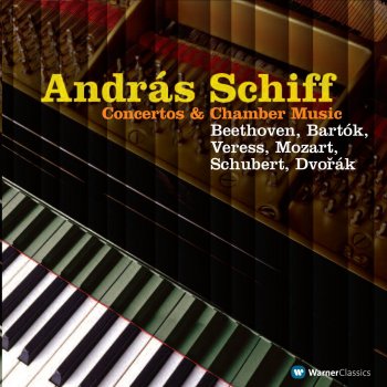 András Schiff feat. Yuuko Shiokawa Piano Trio in E-Flat Major, D. 929, Op. 100: I. Allegro