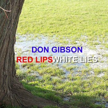 Don Gibson Red Lips White Lies and Blue Hours
