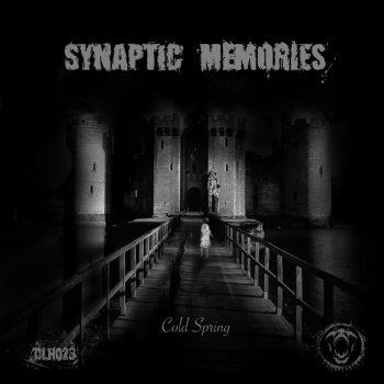 Synaptic Memories Cold Spring