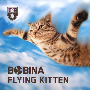 Bobina Flying Kitten - Radio Edit