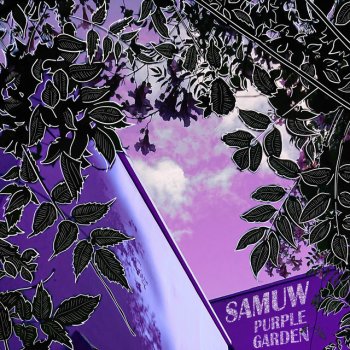 SamuW Purple Keys