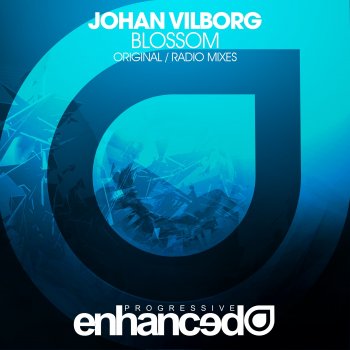 Johan Vilborg Blossom (Radio Mix)