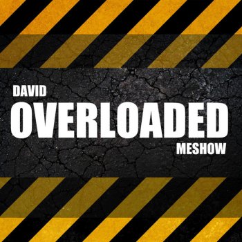 David Meshow Overloaded