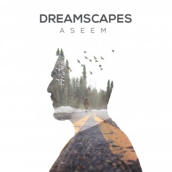 Aseem Dreamscapes
