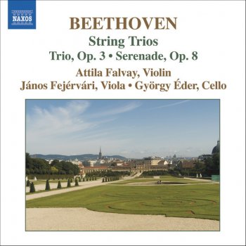 Ludwig van Beethoven feat. Attila Falvay, János Fejérvári & György Éder Serenade in D Major, Op. 8: V. Allegretto alla polacca