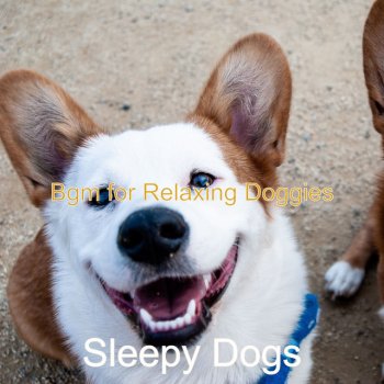 Sleepy Dogs Sounds for Leaving Dogs Home Alone