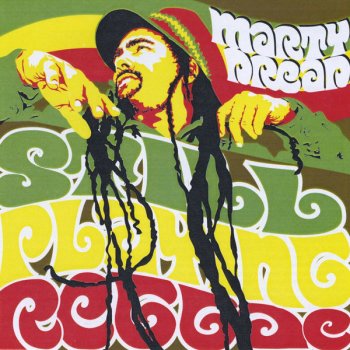 Marty Dread Peaceful Solution - Feat. Willie Nelson & Mad Professor