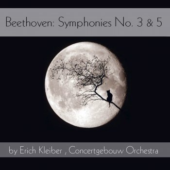 Ludwig van Beethoven, Royal Concertgebouw Orchestra & Erich Kleiber Symphony No. 3 in E-Flat Major, Op. 55 "Eroica": II. Marcia funebre. Adagio assai