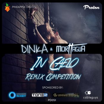 Dinka feat. Morttagua In Caelo (Static Bloom Remix)