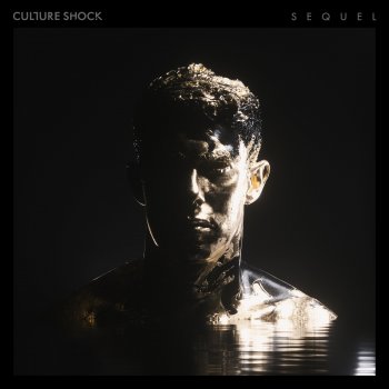 Culture Shock Airplane (Culture Shock Remix)