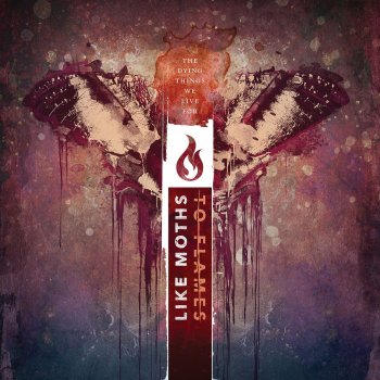 Like Moths to Flames Never Repent