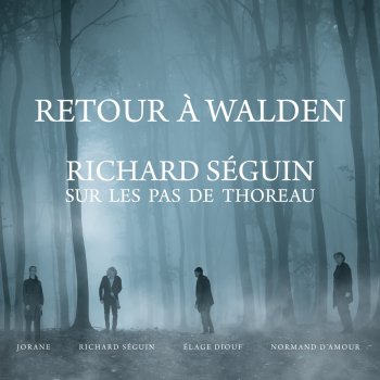 Richard Séguin Dans les bois