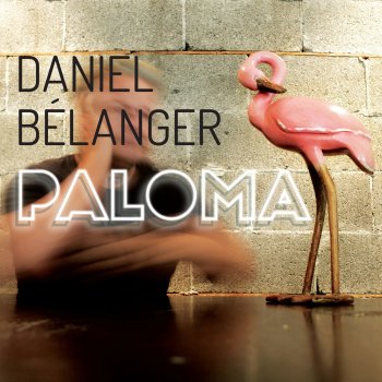 Daniel Bélanger Paloma