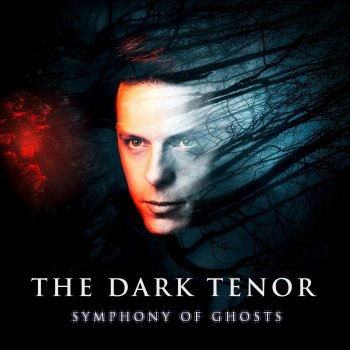 The Dark Tenor feat. Yiruma Written In the Scars