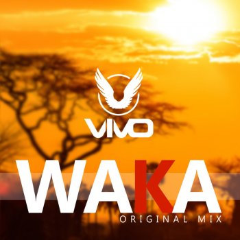 Vivo Waka - Radio Edit