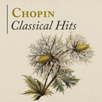 Frédéric Chopin feat. Peter Schmalfuss Twelve Etudes, Op. 10: No. 3 in E Major, "Tristesse": Lento ma non troppo