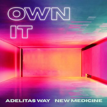 Adelitas Way feat. New Medicine Own It