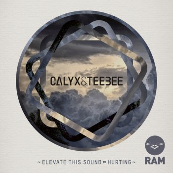 Calyx & Teebee Elevate This Sound (Instrumental)