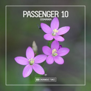 Passenger 10 Osmania - Extended Mix