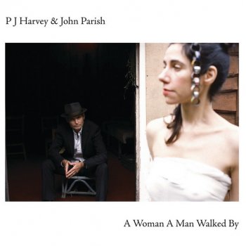 PJ Harvey & John Parish Cracks In The Canvas