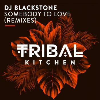 DJ Blackstone feat. No Hopes Somebody to Love - No Hopes Radio Edit