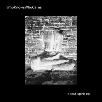 Whoknowswhocares About Spirit
