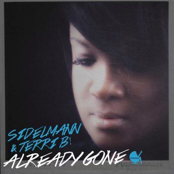 Sidelmann feat. Terri B! Already Gone - Chris Melin Mix