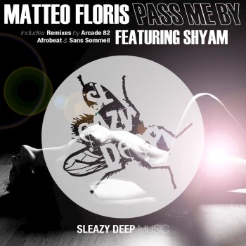 Matteo Floris feat. Shyam & Sans Sommeil Too Late - Sans Sommeil Remix