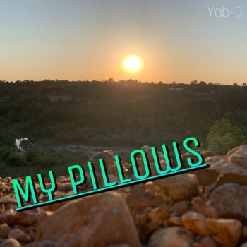 Yab-D My Pillows