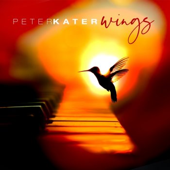 Peter Kater Raven's Wings