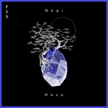 Nōpi feat. Erdi Irmak Hosu - Erdi Irmak Remix