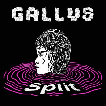 Gallus Split