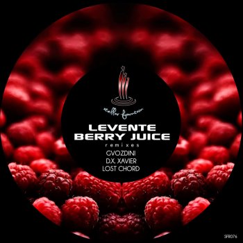 Levente Berry Juice - Original Mix