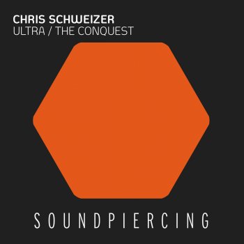 Chris Schweizer The Conquest (Radio Edit)
