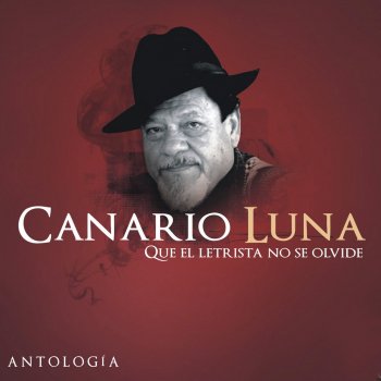 Canario Luna Brindis por Pierrot (Vivo)