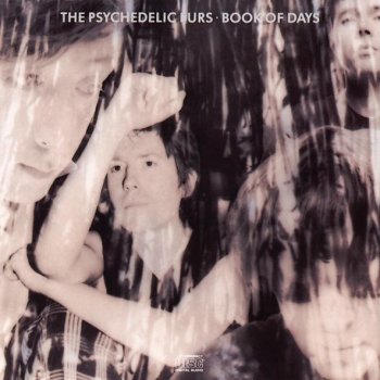 The Psychedelic Furs Book of Days