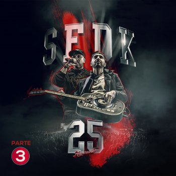 SFDK feat. Andreas Lutz, Sho-Hai & Kase.O Los Funkcionarios / Espacio Vital (Directo)