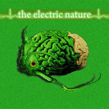 The Electric Nature Super Space Disco Party