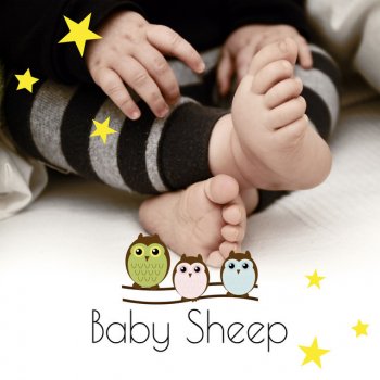 Baby Lullaby Academy Baby Sheep