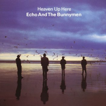 Echo & The Bunnymen Over the Wall