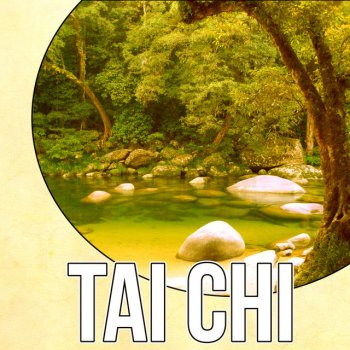 Deep Meditation Music Zone Tai Chi (Soft Music)