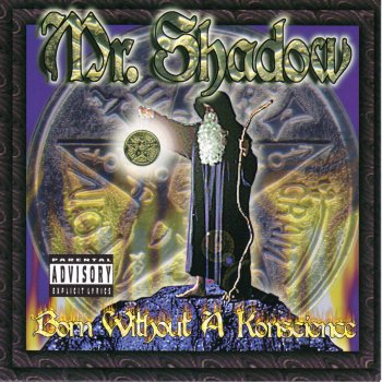 Mr. Shadow Party Goes On