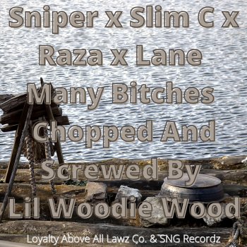 Lil Woodie Wood feat. SNIPER, Slim C, Raza & Lane Many Bitches
