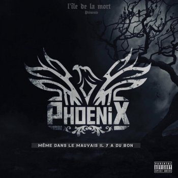 Phoenix Illicite Muzik