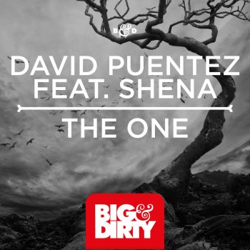 David Puentez feat. Shena The One (Artistic Raw Remix)