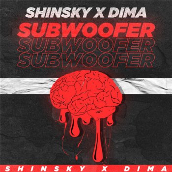 SHINSKY x DIMA Subwoofer