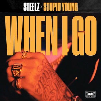 Steelz feat. $tupid Young When I Go
