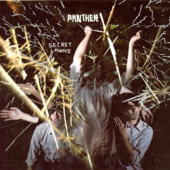 Panther Telephone Wire